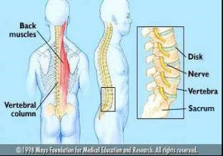 Back Injuries And The Fire Fighter Iaff